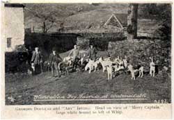 Blencathra Foxhounds