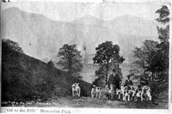 Blencathra Foxhounds