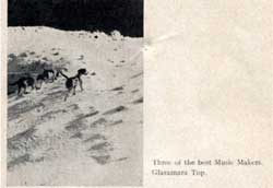 Blencathra Foxhounds