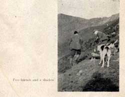 Blencathra Foxhounds