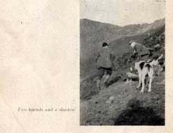 Blencathra Foxhounds