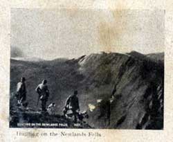 Blencathra Foxhounds