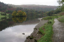 Lakeshore at Rydal