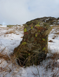 Memorial to Charmer