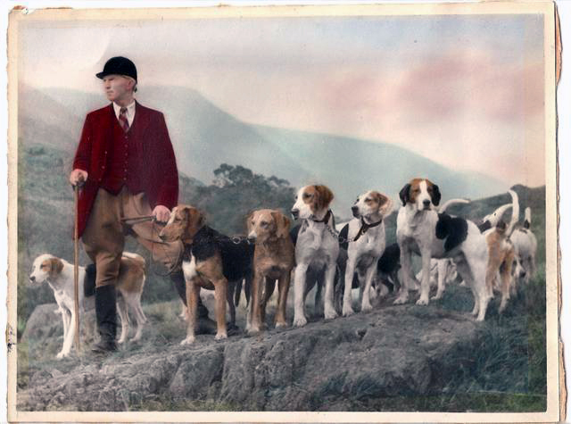 Coniston Foxhounds