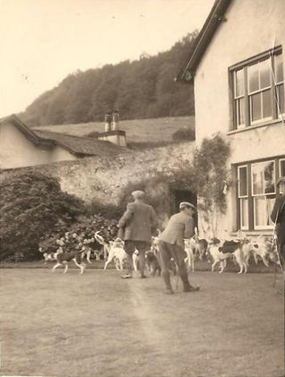 Coniston Foxhounds