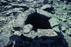 Central Baffin Island, fox trap