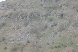 An example from Troutbeck of stonefall from a small cliff causing a build up of stones at the base