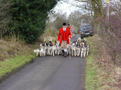 Foxhounds