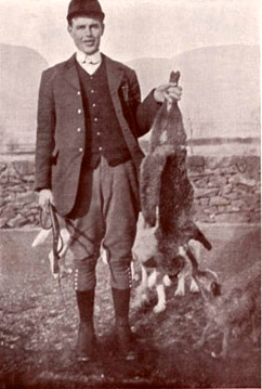 R	Wilson, Whipper-In to the Ullswater Hounds, with a big hill fox 