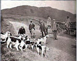 Coniston	Foxhounds