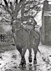 Issac	
		  Cookson, 
		  Mardale 
		  shepherd