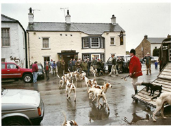 Blencathra Foxhounds