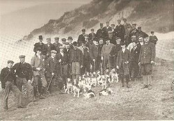 The Cockermouth Beagles