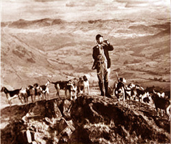 The	Windermere Harriers