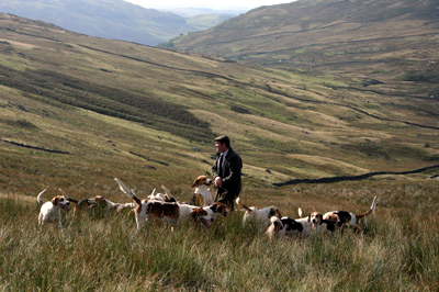 Hunting in the Fells