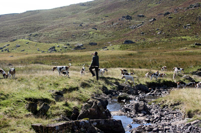 Hunting in the Fells