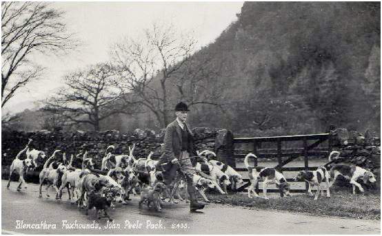 Blencathra Foxhounds, John Peel's Pack