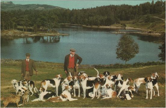 The Coniston at Tarn Hows