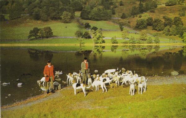 Hunting in Newlands Valley