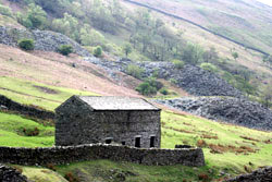 Spoil heaps behind an old barn Troutbeck