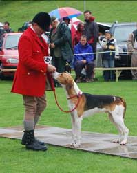 Rydal Show