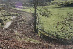 Probable Moat site, Old Hall