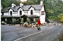 A meet from a pub