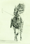 Polo Pony II