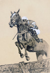 Ron's Hurdler
