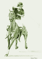 Polo Study